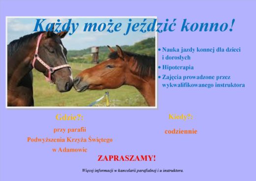 szkółka jazdy konnej