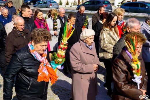 Niedziela Palmowa, parafia Adamów